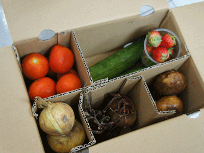 Mua và trồng rau online